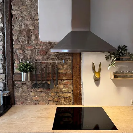 Modern Elegance In Copenhagen's City Center Appartement *