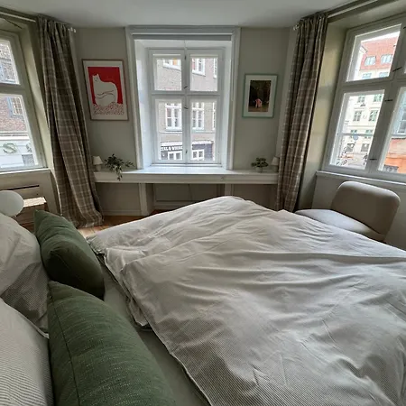 Modern Elegance In Copenhagen's City Center Appartement